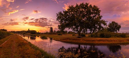 Molen de zwaan bij zonsondergang