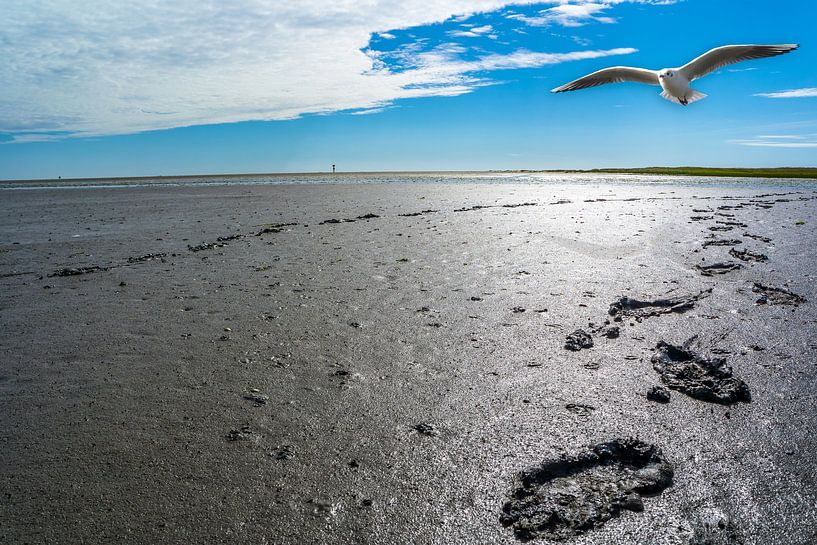 Footprints in the mudflats on the North Sea coast by Animaflora PicsStock