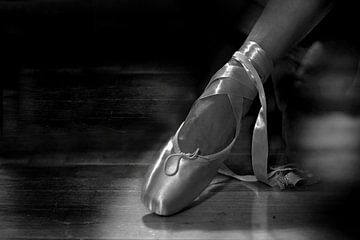 Ballet (I) van Marianna Pobedimova