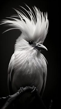 Vogel Portrait in Schwarz-Weiß