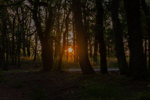 Zonsdergang bij Amerongse Berg