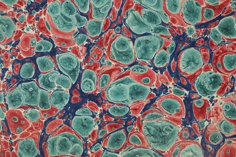 Art numérique Motif coloré Marbré Cellules par Michael Godlewski