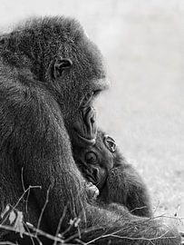 Moederlijke liefde van Holger Bücker