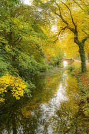 Water en herfst