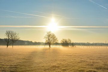 Charente Valley at sunrise by Jean-François Weill Dit Morey
