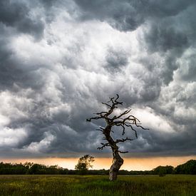 Onheilspellende onweersbui van Andre Brasse Photography