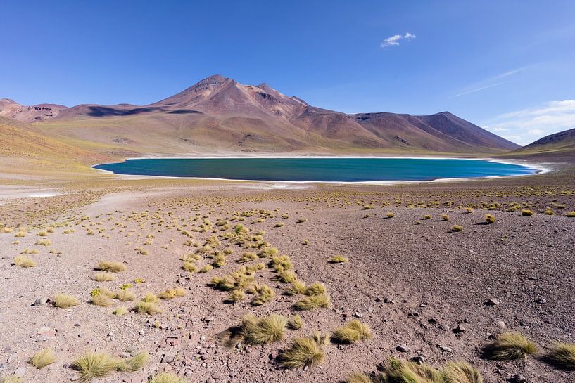 Miscanti Lagune in der Atacamawüste in Chile von Shanti Hesse