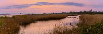 Panorama sunset at Zuidlaardermeer