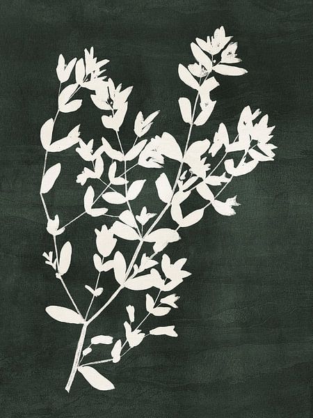 Abstract Botanical no. 9 Green by Adriano Oliveira