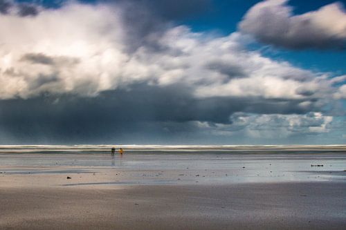 Plage de la mer du Nord à Ameland sur Lizanne van Spanje