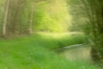 Ruisseau du Brabant sur Elles Rijsdijk