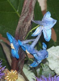 verloren von ton langbroek