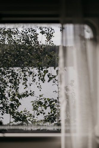 Au cœur de la nature, Nordic | Gros plan sur les paysages scandinaves