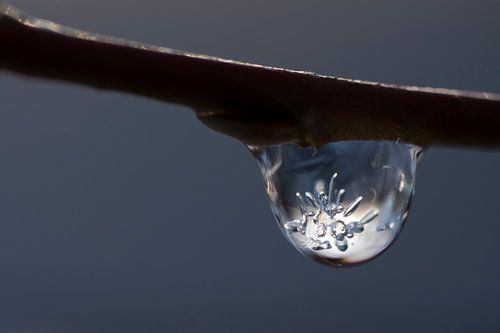 Gefrorene Tautropfen I