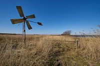 Windmill western style in the reeds