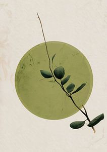 Green Twig No 2