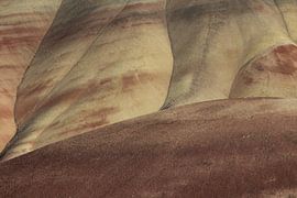 Painted Hills in the John Day Fossil Beds National Monument at Mitchell City, Wheeler County, Northe by Frank Fichtmüller
