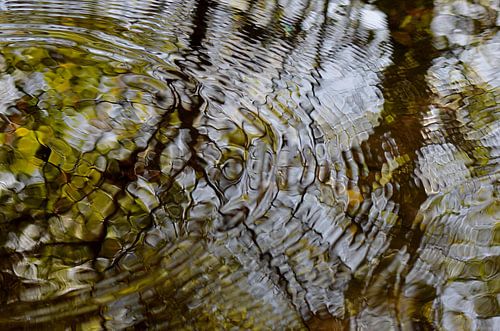 Kringen in het water