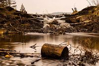 Log