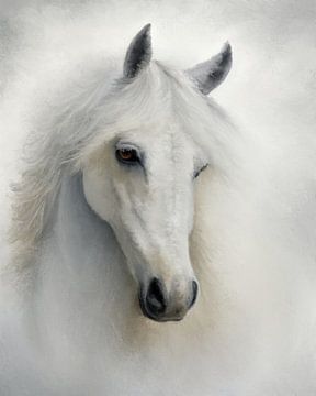 Bleek Paard van Frankie Soldado