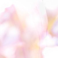 Verleiding 1