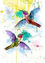 vrolijke kolibries van Beeldmeester thumbnail