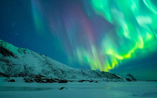 Noorderlicht in de nachtelijke hemel boven de Lofoten eilanden