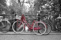 Rode fiets op brug Utrecht