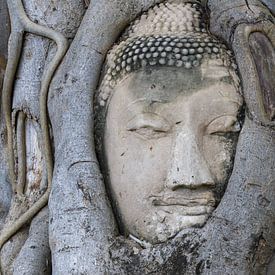 The Smile of Transience by Walter G. Allgöwer