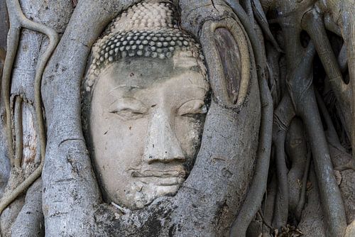 De glimlach van de vergankelijkheid