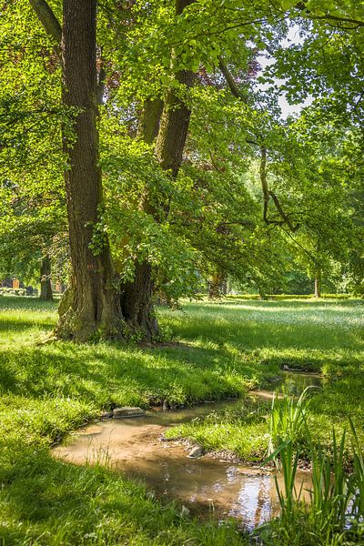 Frühsommer im Kurpark von Bad Homburg von Christian Müringer