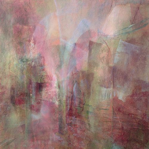 Roze kamers vol licht van Annette Schmucker