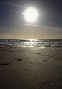 Die Sonne ist hoch am Strand von Zoutelande von MSP Canvas