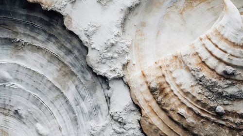 Beach Impressions No 46