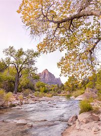 The Watchman in de herfst van Charlotte Jalvingh
