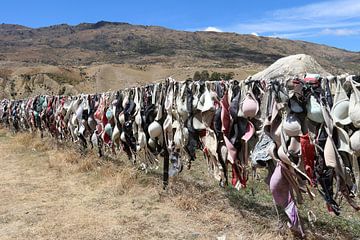 BH's in Cardrona von Matthias Brix