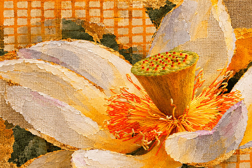 Art botanique en techniques mixtes : fleur de lotus aux teintes fraîches