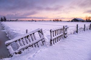 Winterliche Pracht im Polder