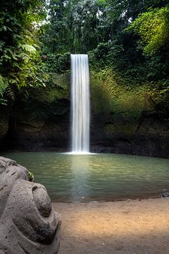 Chute d'eau de Tibumana, près d'Ubud à Bali Plantes tropicales sur Fotos by Jan Wehnert