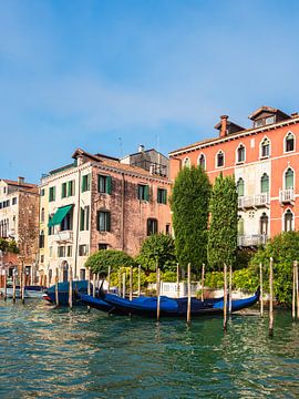 Mening van historische gebouwen in Venetië, Italië van Rico Ködder