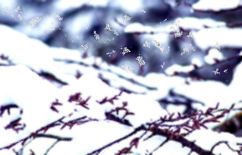 et spherae igitur nix van Photoart-Naegele