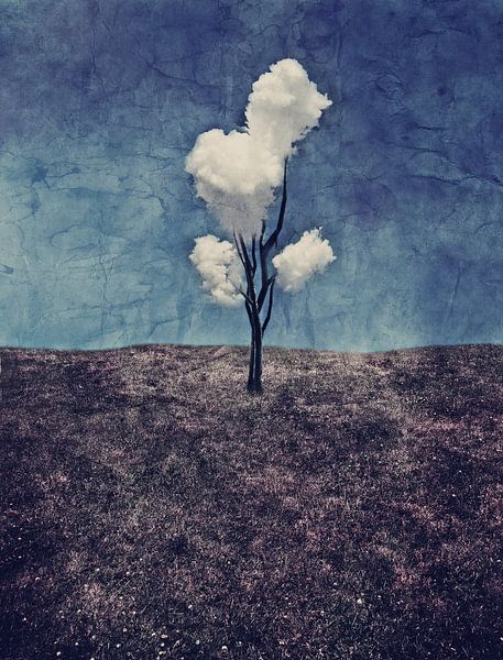 Tree Clouds by Aimelle ML
