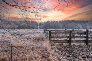 Matin froid avec soleil levant, clôture