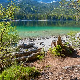 Frühling am Eibsee mit Blick zur Zugspitze Oberbayern von SusaZoom