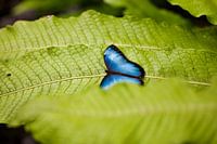 Zerbrechliche Gelassenheit