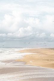 Nazaré Beach in Portugal - Travel Photography Print by Henrike Schenk