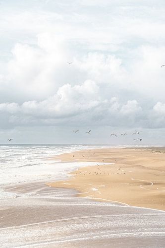 Het Strand van Nazaré in Portugal