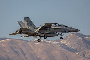 Einer der vier besonderen Gäste, die auf dem Luftwaffenstützpunkt Aviano gesichtet wurden!
