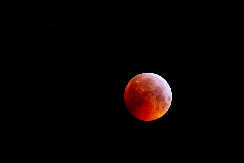 Bloedmaan by Michel Groen