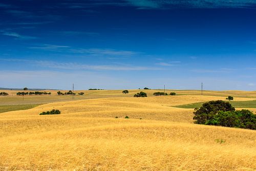 Landschap Zuid Australië
